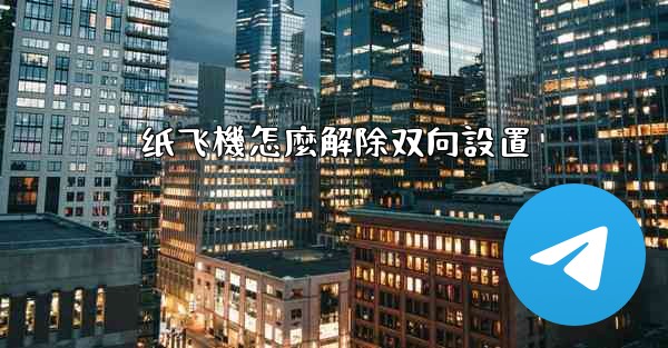 <b>纸飞機怎麼解除双向設置</b>