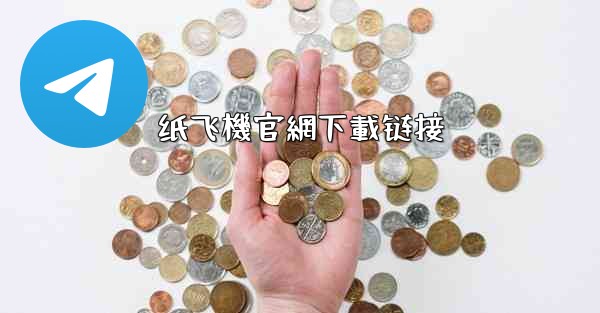 纸飞機官網下載链接