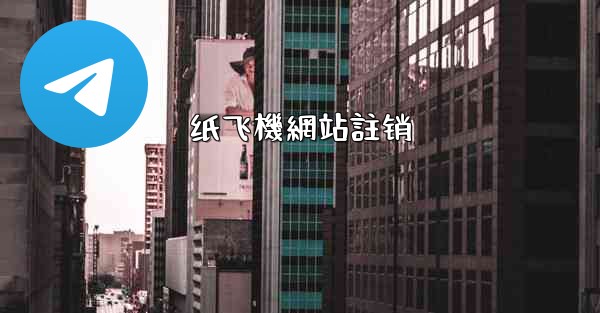 纸飞機網站註销
