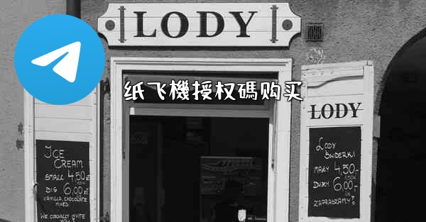 纸飞機授权碼购买