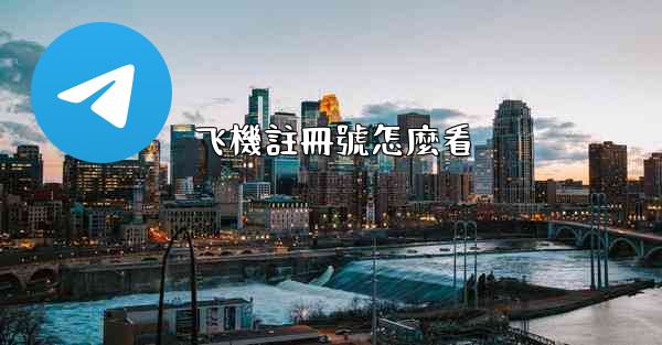 飞機註冊號怎麼看