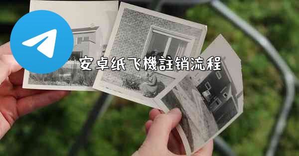 安卓纸飞機註销流程