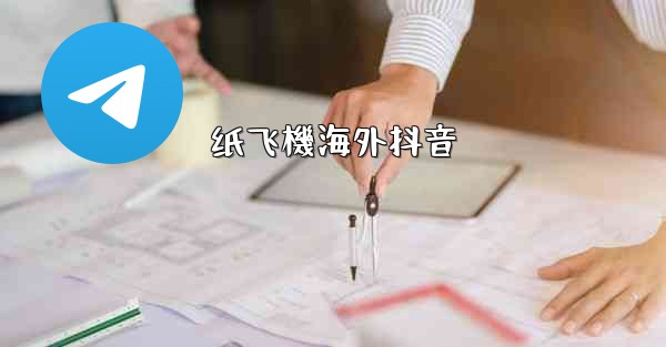 纸飞機海外抖音