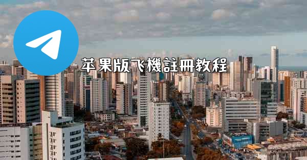 <b>苹果版飞機註冊教程</b>