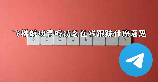 飞機航班實時动态在线跟踪什麼意思