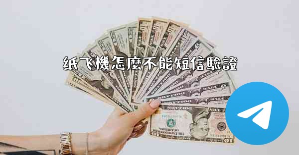 纸飞機怎麼不能短信驗證