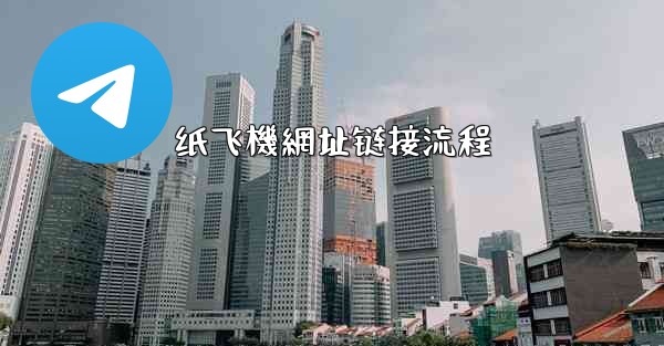 纸飞機網址链接流程