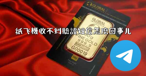 纸飞機收不到驗證短信怎麼回事儿
