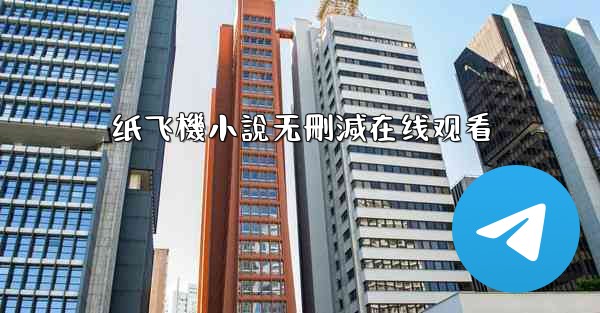 纸飞機小說无刪減在线观看