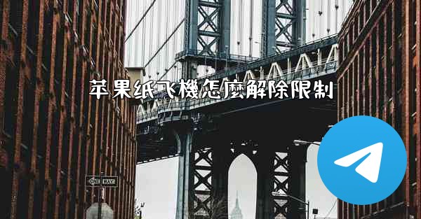 苹果纸飞機怎麼解除限制