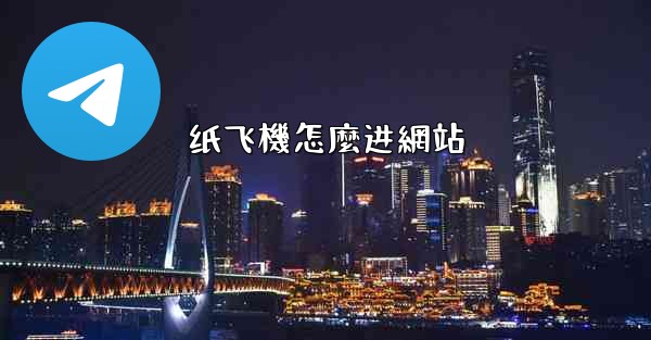 纸飞機怎麼进網站
