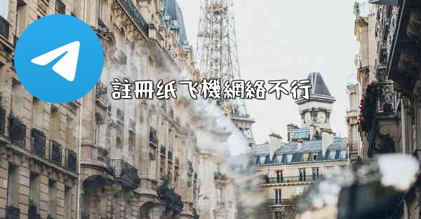 註冊纸飞機網絡不行