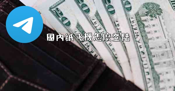 國內纸飞機怎麼登陆