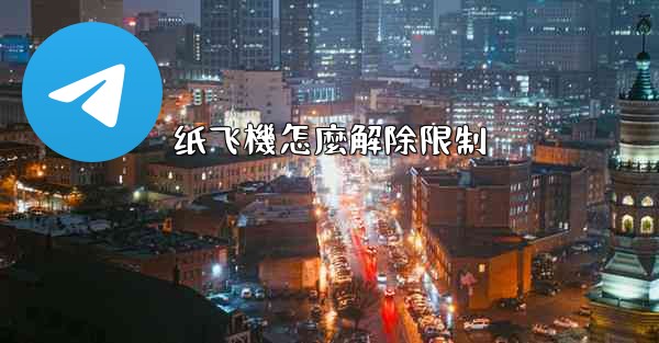 纸飞機怎麼解除限制