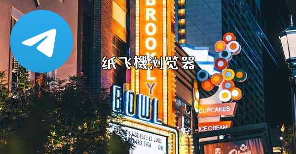 纸飞機浏览器