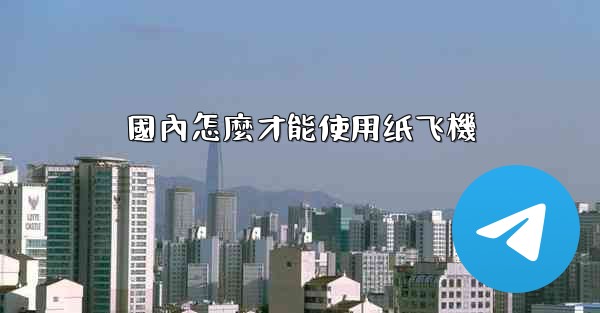 國內怎麼才能使用纸飞機