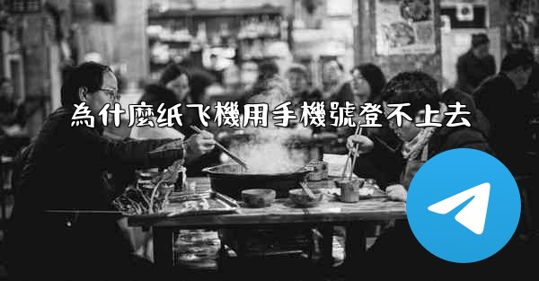 <b>為什麼纸飞機用手機號登不上去</b>