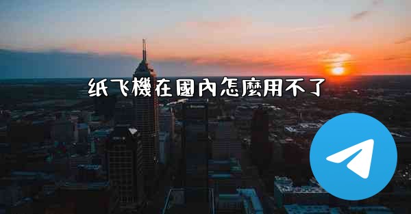 纸飞機在國內怎麼用不了