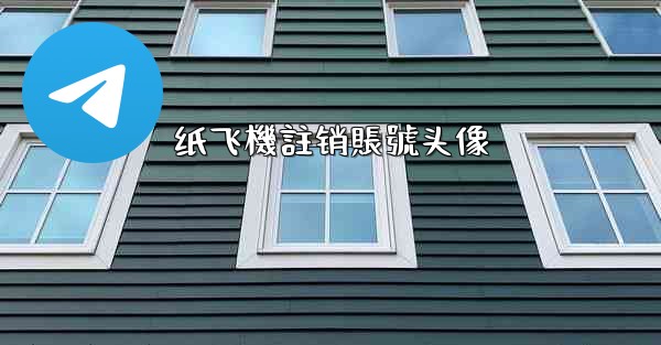 纸飞機註销賬號头像