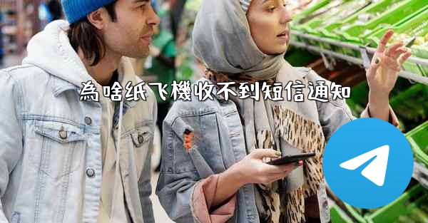 為啥纸飞機收不到短信通知