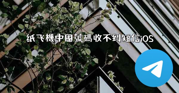 纸飞機中國號碼收不到短信iOS