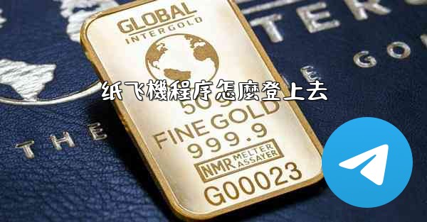 纸飞機程序怎麼登上去