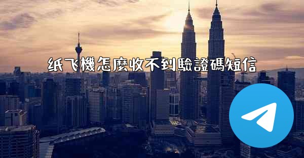纸飞機怎麼收不到驗證碼短信
