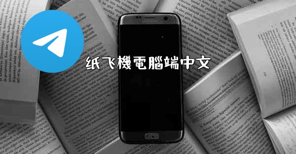 纸飞機電腦端中文