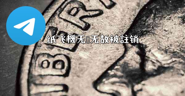 纸飞機无缘无故被註销