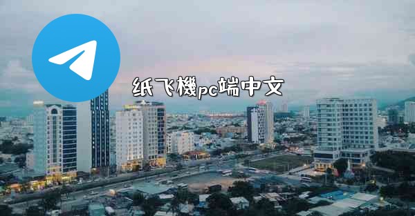 纸飞機pc端中文