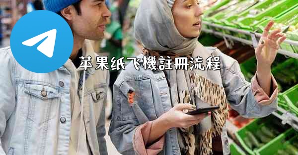 苹果纸飞機註冊流程