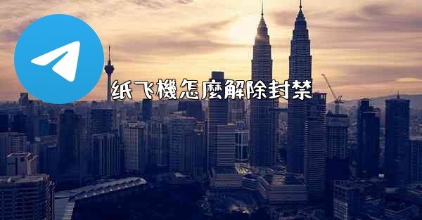 纸飞機怎麼解除封禁