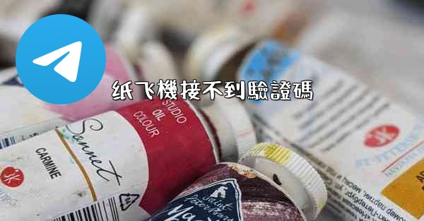 纸飞機接不到驗證碼