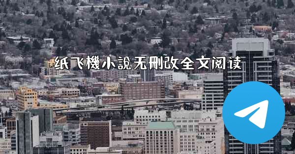 纸飞機小說无刪改全文阅读