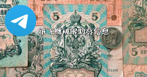 纸飞機被限制發信息