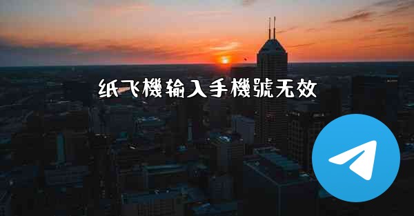 纸飞機输入手機號无效