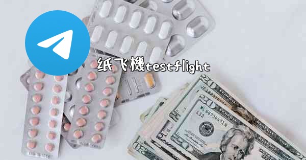 纸飞機testflight