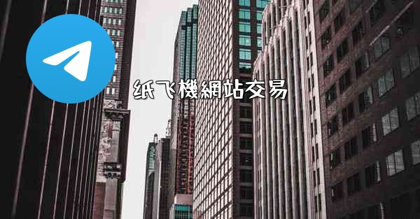 纸飞機網站交易