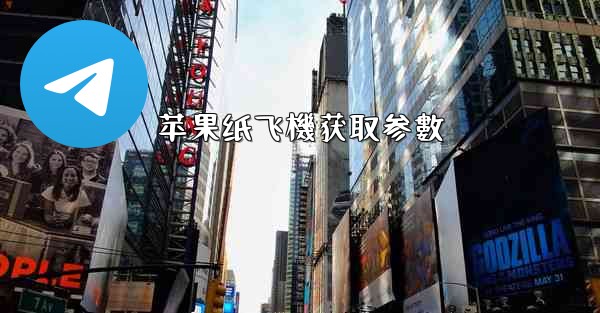 苹果纸飞機获取参數