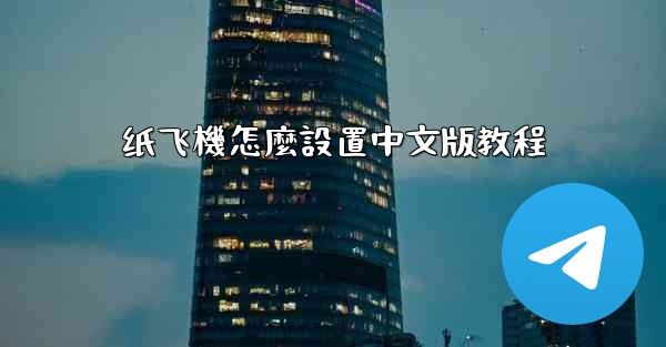 纸飞機怎麼設置中文版教程