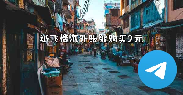 纸飞機海外賬號购买2元