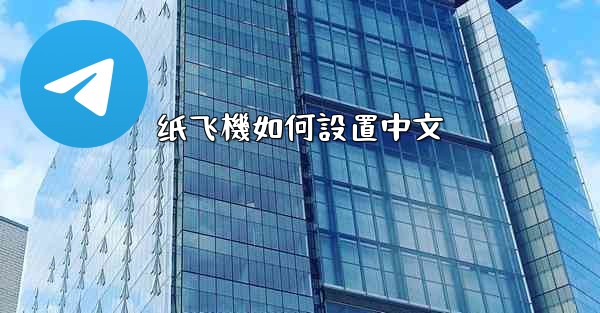 纸飞機如何設置中文