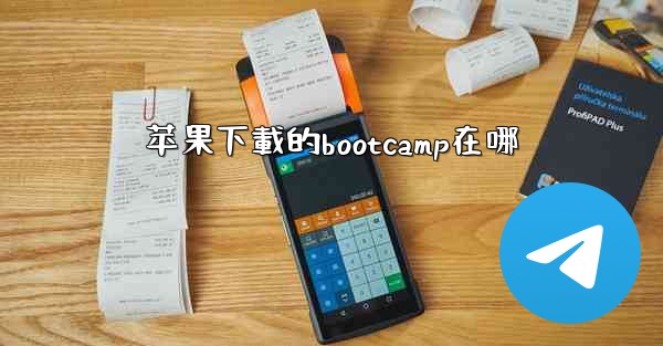 苹果下載的bootcamp在哪