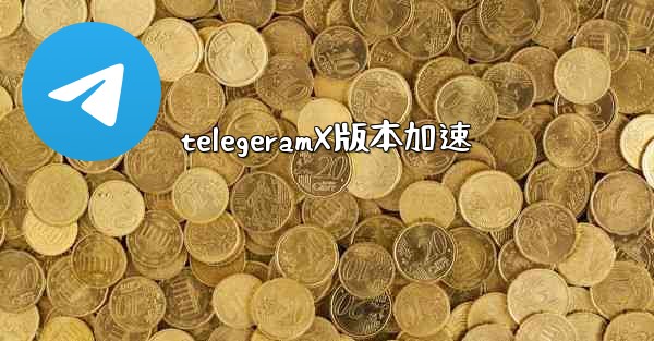 telegeramX版本加速