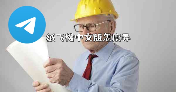 纸飞機中文版怎麼弄