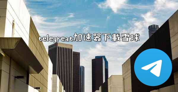 telegreat加速器下載雪球
