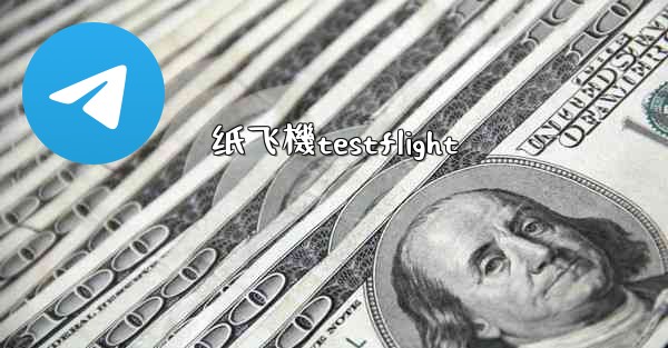 纸飞機testflight