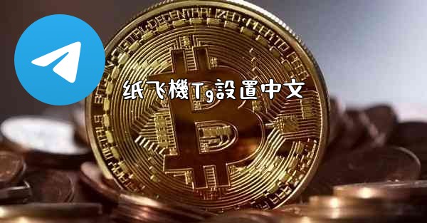 纸飞機Tg設置中文