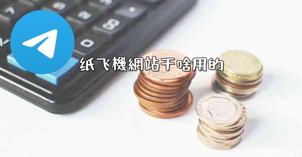 纸飞機網站干啥用的