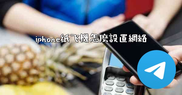 iphone纸飞機怎麼設置網絡